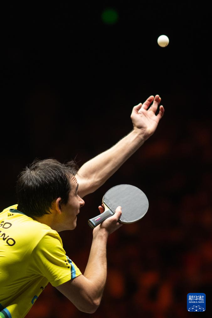 的多元化趋 的多元化趋